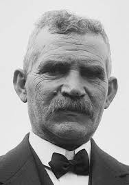 Julius Hauser (1854-1920)