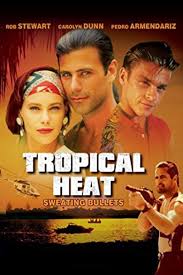 Movie director belinda chaykophil enchelmaiersimon kennedy wit content about the country(united states), movies with duration: Safe Harbor Watch Episodes On Hulu Peacock Premium And Streaming Online Reelgood