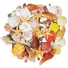 In stock at crossroads mall temporarily unavailable at crossroads mall. 100pcs Mixed Ocean Sea Shells Wedding Decor Beach Theme Party Seashells Home Decorations Fish Tank Candle Making Shells Starfishes Aliexpress