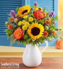 We did not find results for: Fall Farmhouse Pitcher By Southern Living 1800flowers Com