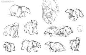 The sample photos are 512 pixels and the poses you can buy are as high as 48 megapixels! Bear Drawing Poses Peepsburgh