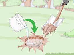 3 Ways To Prepare Soil For Fruit Trees Wikihow