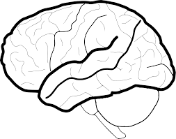 Seperti fourtwnty, dalam hitam putih nya adalah lagu pertama , maka ini adalah vidio pertama dari saya untuk sobat semua, enjoy. Svg Anatomi Profil Otak Manusia Imej Ikon Svg Percuma Svg Silh