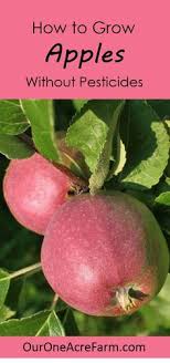 Maybe you would like to learn more about one of these? 25 Planting Fruit Trees Ideas Fruit Trees Growing Fruit Trees Growing Fruit