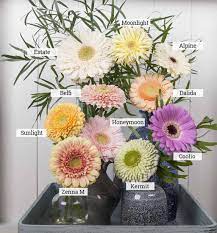 Our Top 10 Favorite Pastel Gerbera Varieties 2017 Holex Flower Blog Gerbera Flowers Colorful Flowers