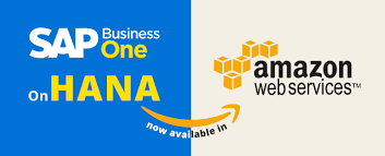 Sap Business One On Hana Now Available In Amazon Aws Sap Hana Business