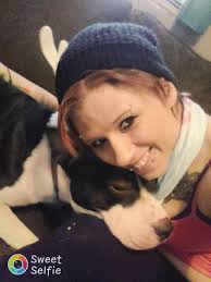 Missing black lab/pitt mix dog found safe