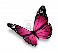 A pink butterfly might represent the youthful, joyous, and gentle spirit of youth and women, or it could represent the exciting renewal of life and new beginnings through a butterfly's transformation. Pink Butterfly Butterfly Tattoo 3d Butterfly Tattoo Butterfly Wrist Tattoo