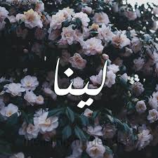 صور اسم لينا قاموس الأسماء و المعاني