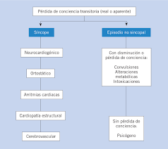Las causas del síncope vasovagal. Sincopes Y Mareos
