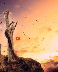 How to use picsart background hd images download. 500 Best Picsart Background Hd Download 2021