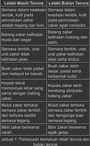 Lelaki itu nampak sangat gagah dalam pandangan shinta. Mr Kongsi Santai Beza Kemaluan Teruna Bukan Teruna Wattpad