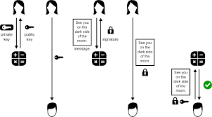 Public key cryptography uses a pair of a public key and a private key to perform different tasks. Six Things Bitcoin Users Should Know About Private Keys Bitzuma
