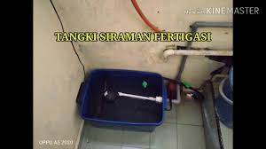 Tanaman hias depan rumah menjadi penyejuk mata ketika dipandang karena kecantikan serta keindahannya. Sistem Fertigasi Tanaman Cili Dirumah Youtube