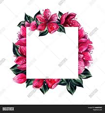 You'll find an overflowing gallery of options in assorted styles and designs, and our templates will guide you. Flower Frame Wedding Image Photo Free Trial Bigstock