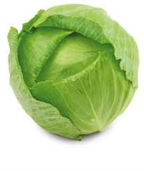 Image result for hlávková kapusta