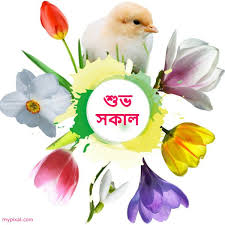 ≈ shuvo sokal good morning ≈. Associazione Subho Sokal Bengali Good Morning Images For Whatsapp Free Download