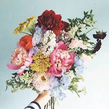 A flower festival in new york on saturday photograph: Pin By Montana Munday On Flowers Plants Pretty Flowers Flowers Beautiful Blooms