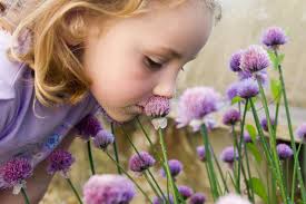 Young Girl Smelling Flowers Stock Image
