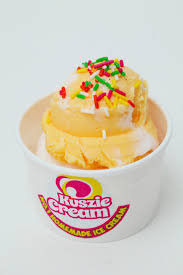 Teringin makan aiskrim goyang, gulung atau goreng? Kuszie Cream Pembekal Peralatan Perniagaan Aiskrim