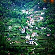 Artvin escort, bir bayan olarak, partnerine nasıl davranması gerektiğini çok iyi bilen biriyim. Artvin Turkei Mein Land