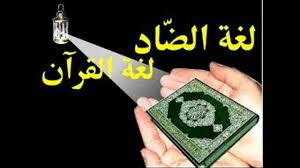 صور عن اللغة العربية صور معبره عن اللغه العربية افصح اللغات حبيبي