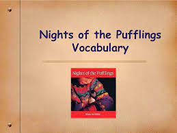 Ppt Nights Of The Pufflings Vocabulary Powerpoint Presentation Free Download Id 1433945