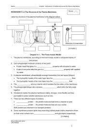 The Structure Of The Plasma Membrane Biology Lessons Biology Worksheet Biology Classroom