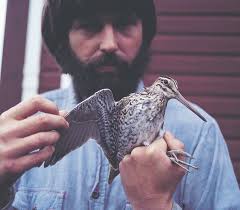 Fair Isle Bird Observatory