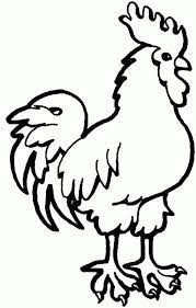 Download now cartoon cockerel expresion vector material imagen. 11 Ide Mewarnai Hewan Hewan Warna Halaman Mewarnai