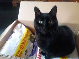 Food Delivery Secured Katten