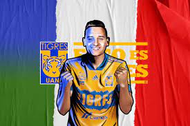 Y es que durante una de las últimas prácticas del equipo, que se encuentra preparando la liguilla, ambos jugadores galos se … Transfer News Central On Twitter Official Tigres Have Signed Winger Florian Thauvin From Marseille On A Free Transfer He Will Join The Club In The Summer Https T Co Xkdoqpejuv Twitter