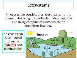 N5 Biology Ecosystems: Study Material for Competition and Ecological Terms ( Biology) - Knowunity