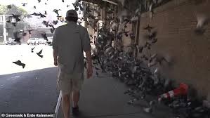Walking every street in all five boroughs of new york city. Man Walks Every Street Of Nyc Covering 8 000 Miles His Epic Trek Captured In A New Documentary Daily Mail Online