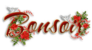 Résultat de recherche d'images pour "gif bonsoir noel"