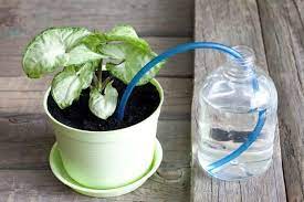 31 Clever Diy Self Watering Container Garden Ideas When You Re Away Self Watering Plants Diy Self Watering Planter Self Watering Planter