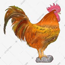 ayam kampung pedesaan kokang cantik png transparan gambar clipart dan file psd untuk unduh gratis ayam kampung pedesaan kokang cantik
