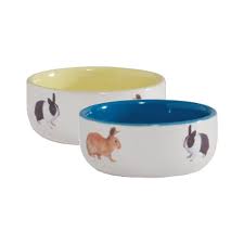 Every day new 3d models from all over the world. Beeztees Ceramic Rabbit Food Bowl Vetsend Co Uk