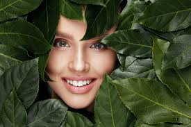 Habe eine sehr gute erfahrungen gemacht mit dr. Asthetisch Plastische Chirurgie In Freiburg Borges Aesthetics