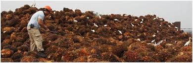 Manufacturer, trading company, buying office, agent, distributor/wholesaler, government ministry/bureau/commission, association, business service (transportation, finance, travel, ads, etc). Riche Ho Yee Lee Corporation Berhad New Red Bull Distributor Road To Success I3investor