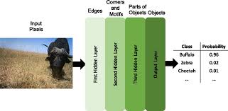The best price for wireless motion detector with visual alarm verification and pet immunity motioncam at ajax systems. Automatically Identifying Counting And Describing Wild Animals In Camera Trap Images With Deep Learning Pnas