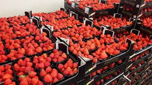 Fraises Belges Star Class Chez Lomme Primeurs Www Lommeprimeurs Com Fruits Fruit Fraise