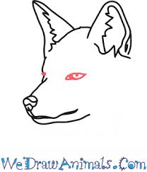 I hope this tutorial helps you to easily draw a fox's headif you enjoyed watching this tut. How To Draw A Fox Head In 7 Easy Steps