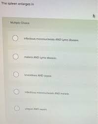 Solved The Spleen Enlarges In Multiple Choice O Infectiou Chegg Com