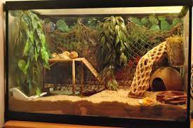 Hermit crab tank hermit crabs steve jenkins pet toys habitats toddlers shells hilarious decorations. Hermit Crab Tank 10 Gallon Google Search Hermit Crab Tank Hermit Crab Habitat Hermit Crab