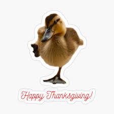 Check spelling or type a new query. Happy Thanksgiving Cute Duck Greeting Card By Creative Boo Redbubble