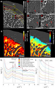 The section has been ground and dried, hence the lacunae… Quantifying The Hydroxyapatite Orientation Near The Ossification Front In A Piglet Femoral Condyle Using X Ray Diffraction Tensor Tomography Scientific Reports