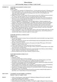 partner consultant resume samples