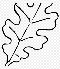 Black and white dog sitting in leaves. Leaf Outline Fall Leaf Template Oak Leaf Outline Clip Fall Leaf Clipart Black And White Hd Png Download 1024x1024 2259846 Pngfind