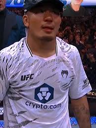 Joshua Van Ufc Fight